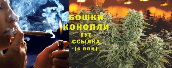 бошки Алексин
