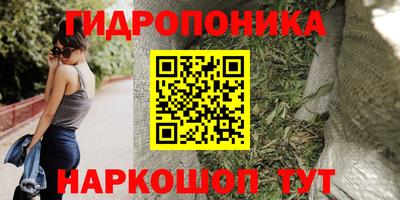 прущие крисы Новозыбков