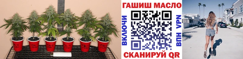 мега зеркало Новокубанск Дистиллят ТГК вейп с тгк