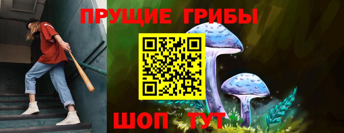 Галлюциногенные грибы Magic Shrooms  Вход с VPN  Новокубанск 